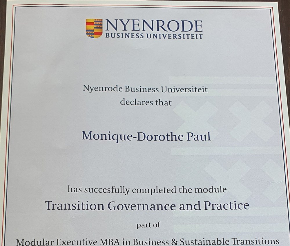 Nyenrode Business Universiteit — Transition Governance and Practice